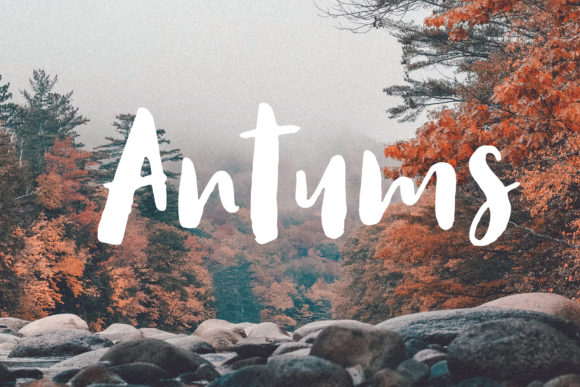 Antums: A Hand-Drawn Brush Font for Strategic Design
