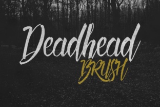 Deadhead Brush: A Bold and Natural Script for Creative Expression